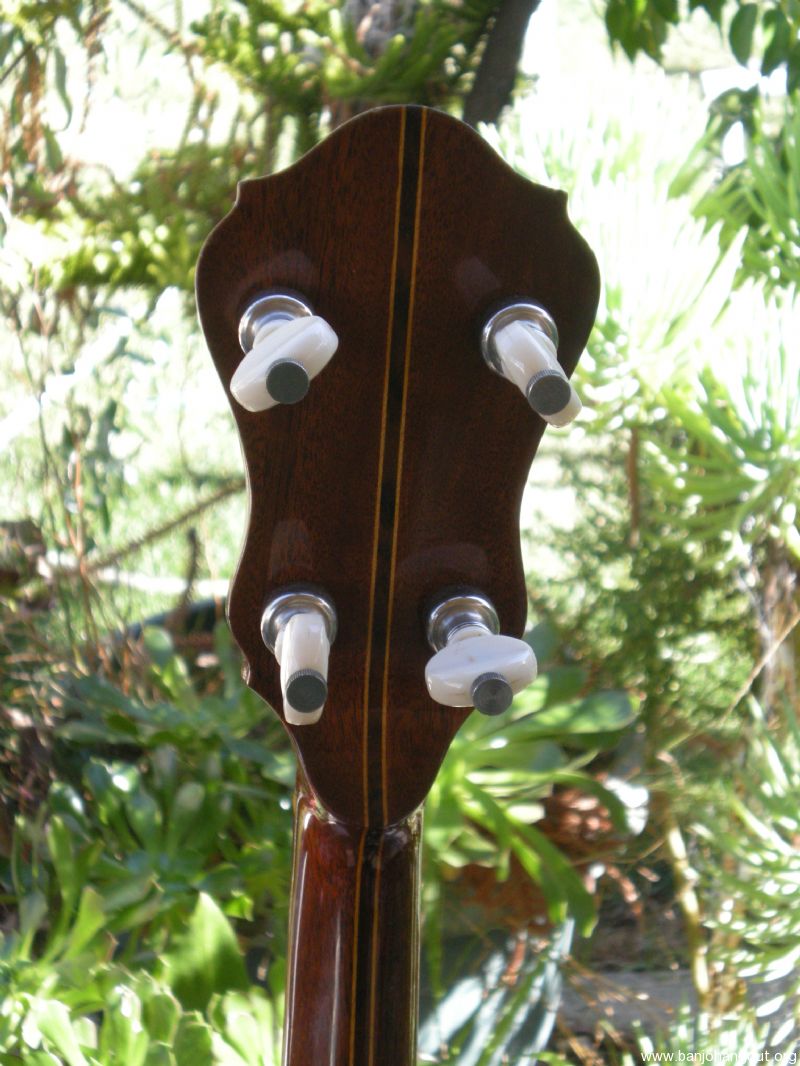 baldwin ode banjo for sale